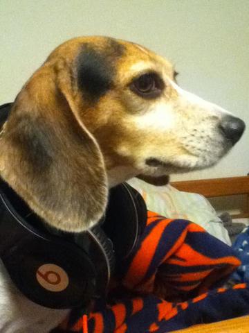 Mi Otro Perro, Clementine