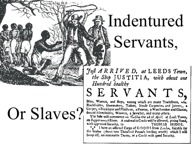 Indentured Servants First Arrive