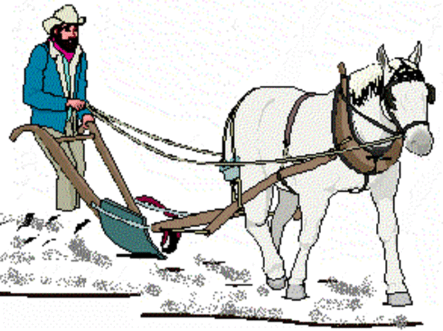 Revolución agrícola: El Arado