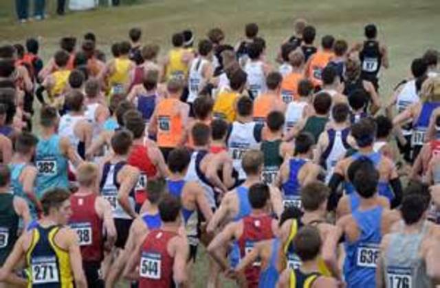 NIC-10 Conference 2014