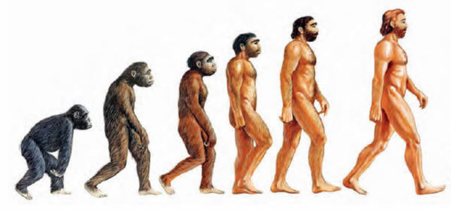Evolucion del Hombre