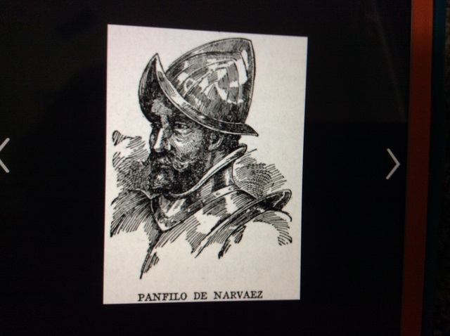 Panfolio de Narvaez