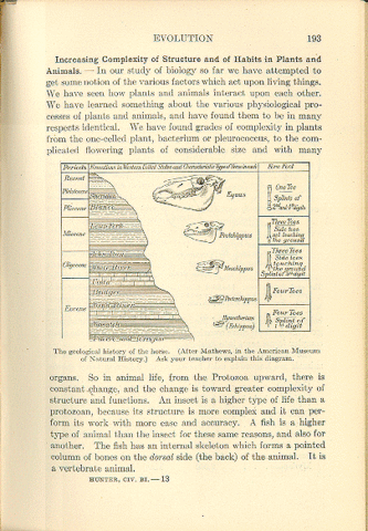 Evolution appears in textbooks ("Civic Biology" Hunter)