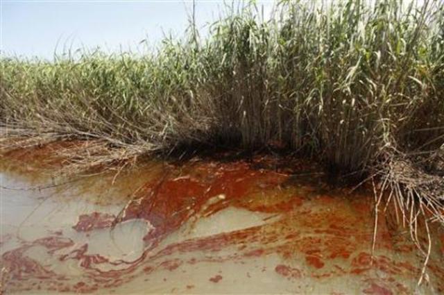 "Deepwater Horizon: Ongoing"