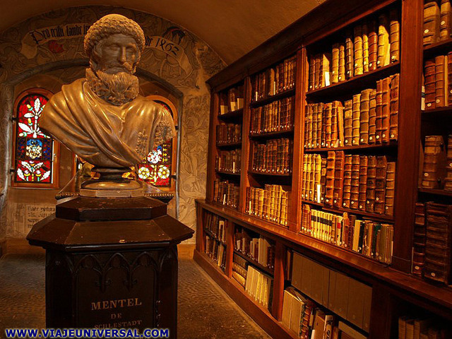 publicación de directrices