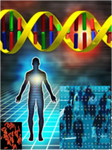 LA IDENTIFICACIÓN GENÉTICA