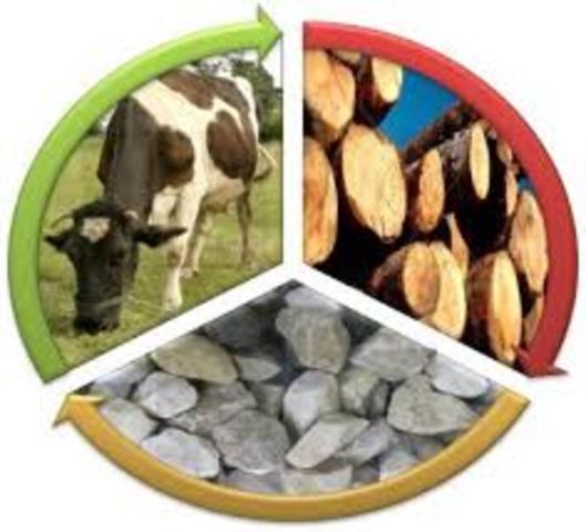 Banco Multisectorial de Inversiones