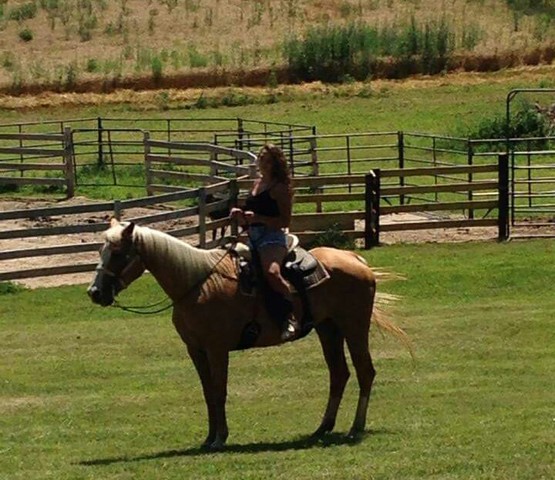 Caballos Lucky y Checkers