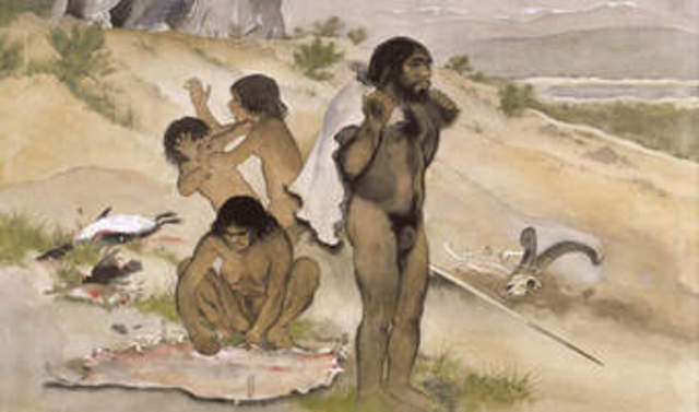 Homo Neanderthalensis