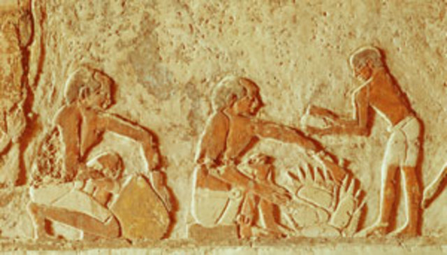 LOS ORIGENES DE LA COCINA