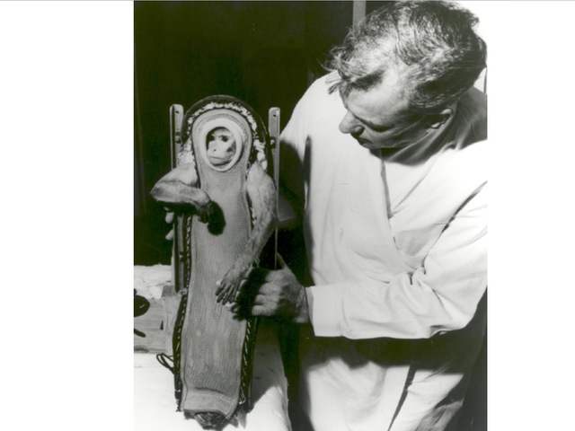 Plants and Animals orbit earth