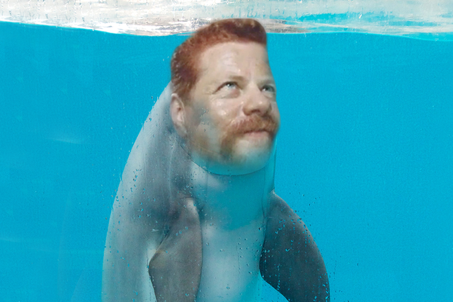 Yo nadó con dolphins