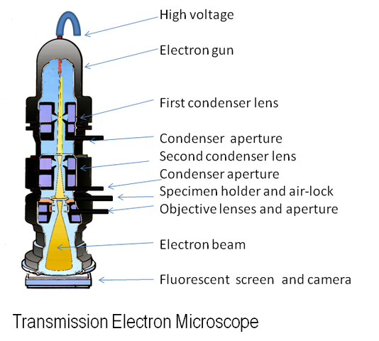 Electron microscope