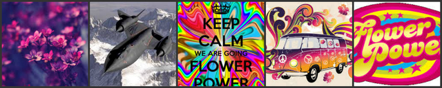 The Flowe Jets have made over a billion dollars today.