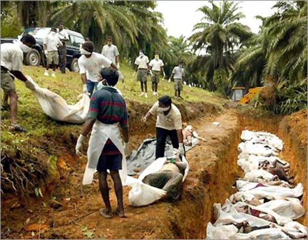 Tsunami Hits Sri Lanka