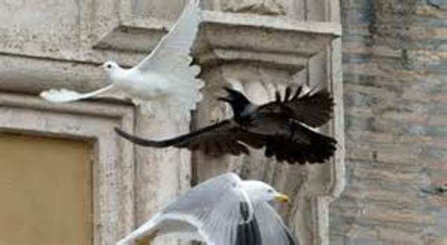 ultima version de la ataca de paz