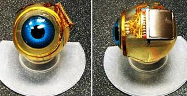 The Bionic Eye