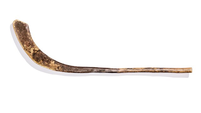 The First Ever Hockey Stick