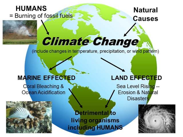 Enviromental Changes