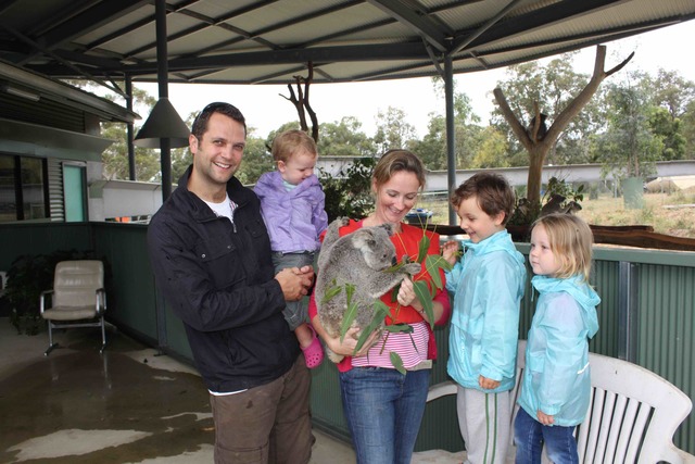 First time holding a Koala