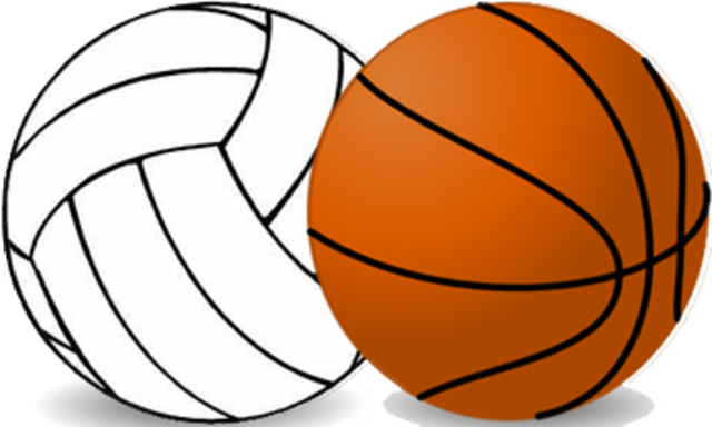 started playing volleyball and basketball