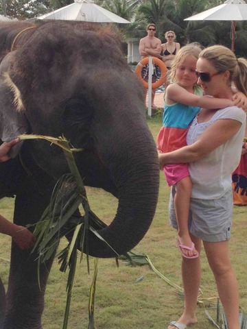 Getting a kiss from an elaphant