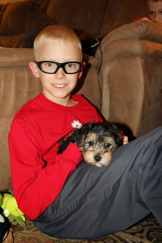 65/6 years old- I got a dog for Christmas.