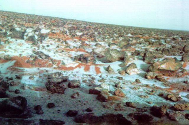 Discovery of Water Frost on Mars