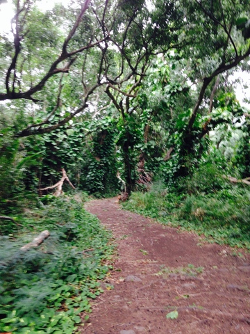 Innovative Schools Collaborative Design Camp