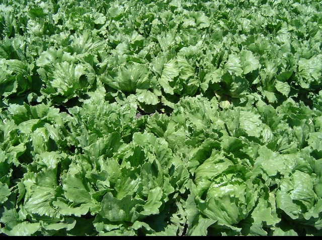 First food eaten in space