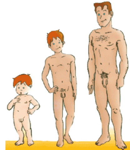 Los chicos notarán que: