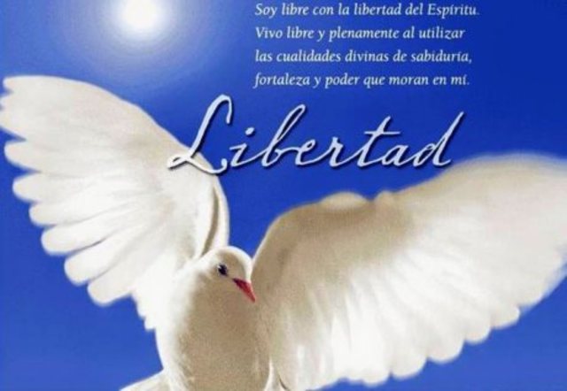 Acciones y sencibilidad para tener Libertad