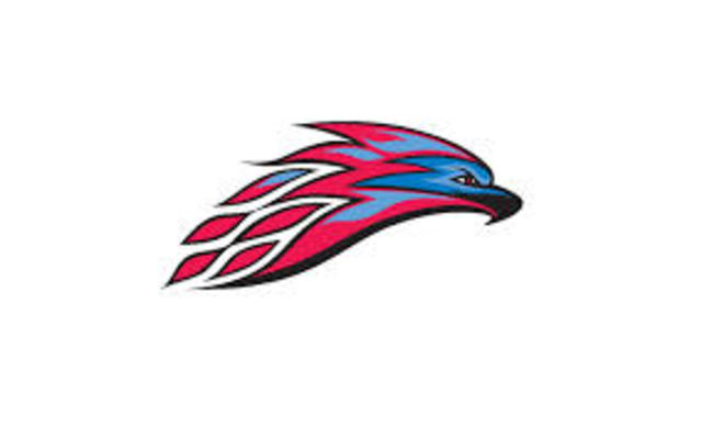 New Thunderbird Logo