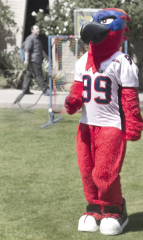 Mascot changes to Thunderbird