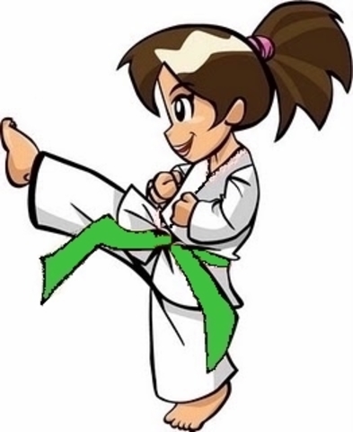 Empiazo a hacer Taekwondo