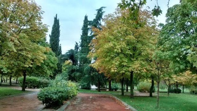 Parque plata y castañar
