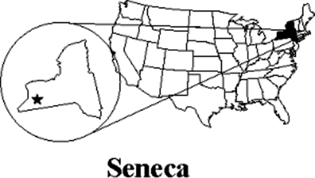 The Declaration of Independence