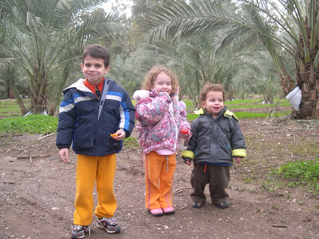 בטיול בכינרת