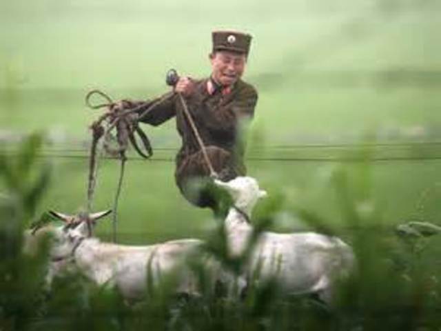 South Korean Troops Cross into North Korea