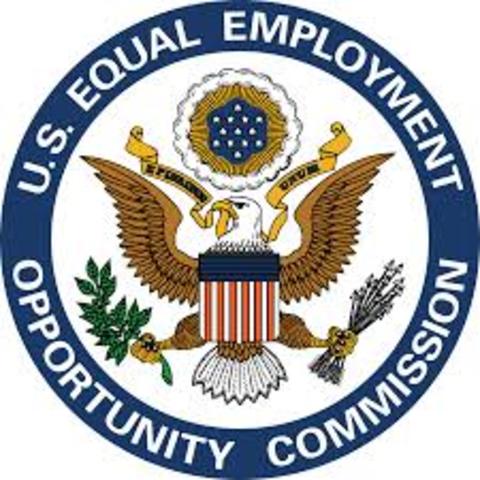 Title VII of the Equal Rights Act of 1964