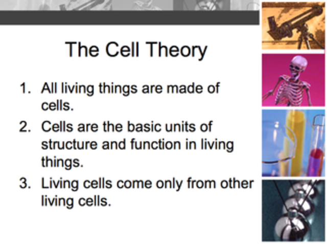 Matthias Schleiden Figures out that all plants have cells