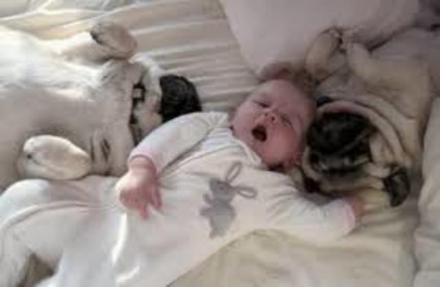 Little-Big-Brother Birth