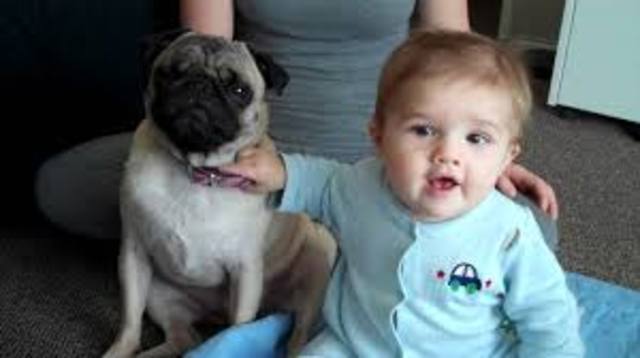 Littlest Brother is Born