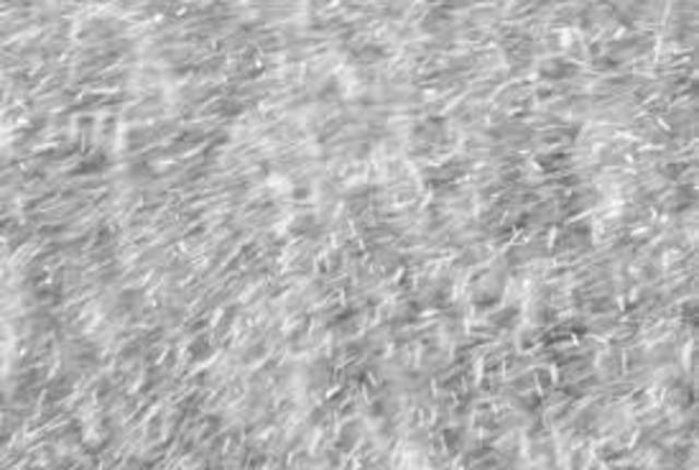 Born On March 3, 2001