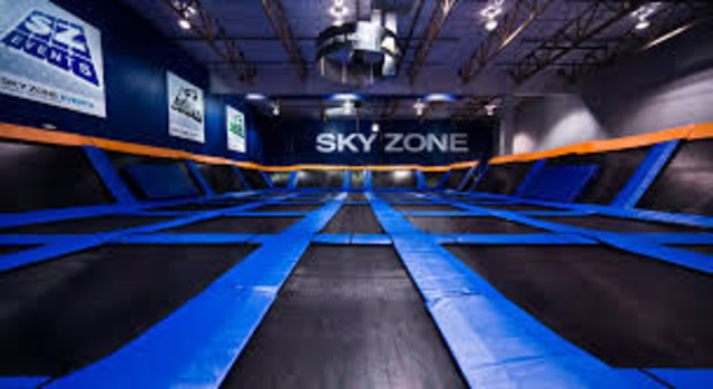 Gracie and her friends went to Skyzone