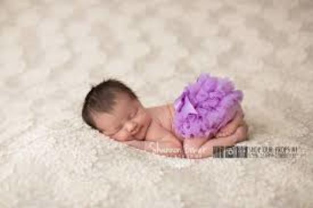 Language Development