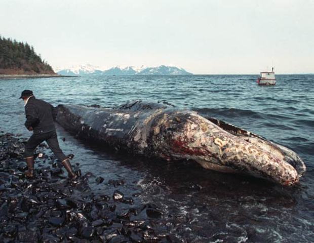 Exxon valdez