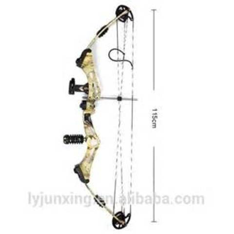 I shot my first archery deer.