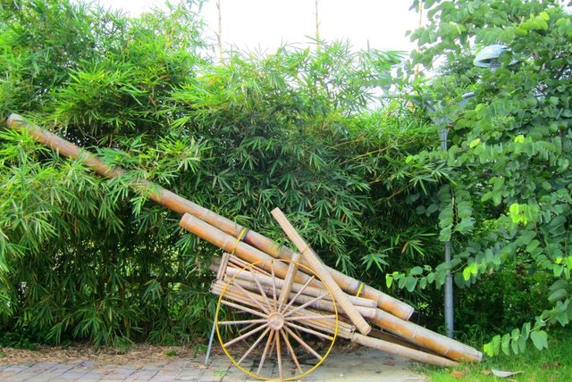 Canons fets de tubs de bambú