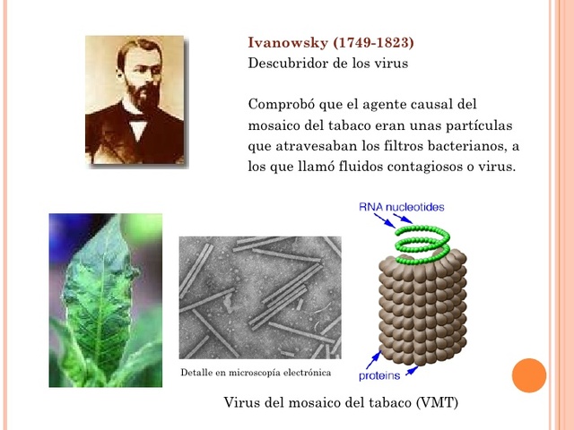 Dimitri descubre al agente causante del mosaico